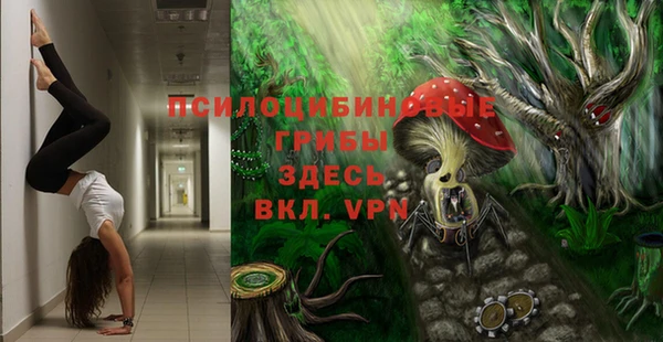 мдпв Абинск