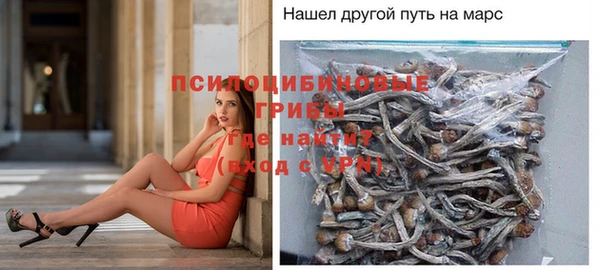 герыч Абаза