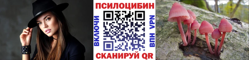 Галлюциногенные грибы мицелий  Сольцы 